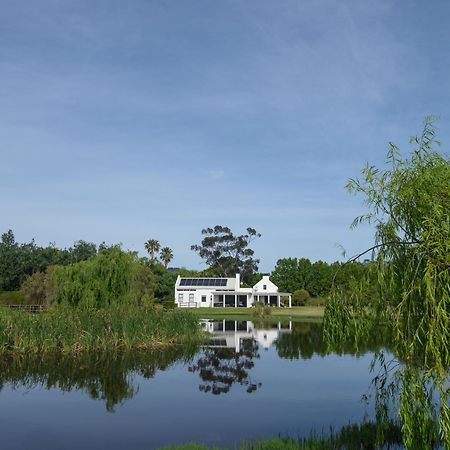 Sanddrif Stellenbosch Guest Farm Экстерьер фото