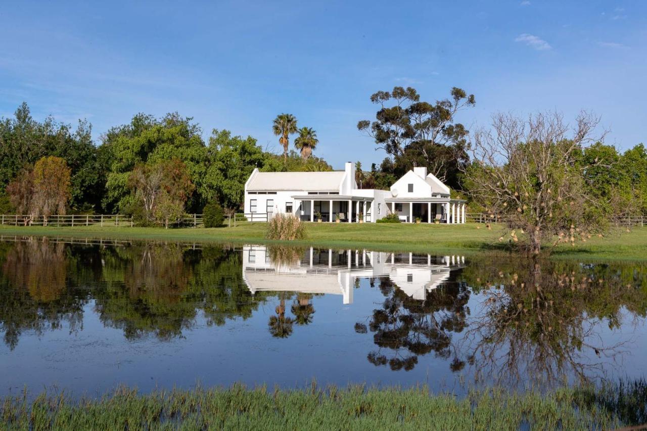 Sanddrif Stellenbosch Guest Farm Экстерьер фото