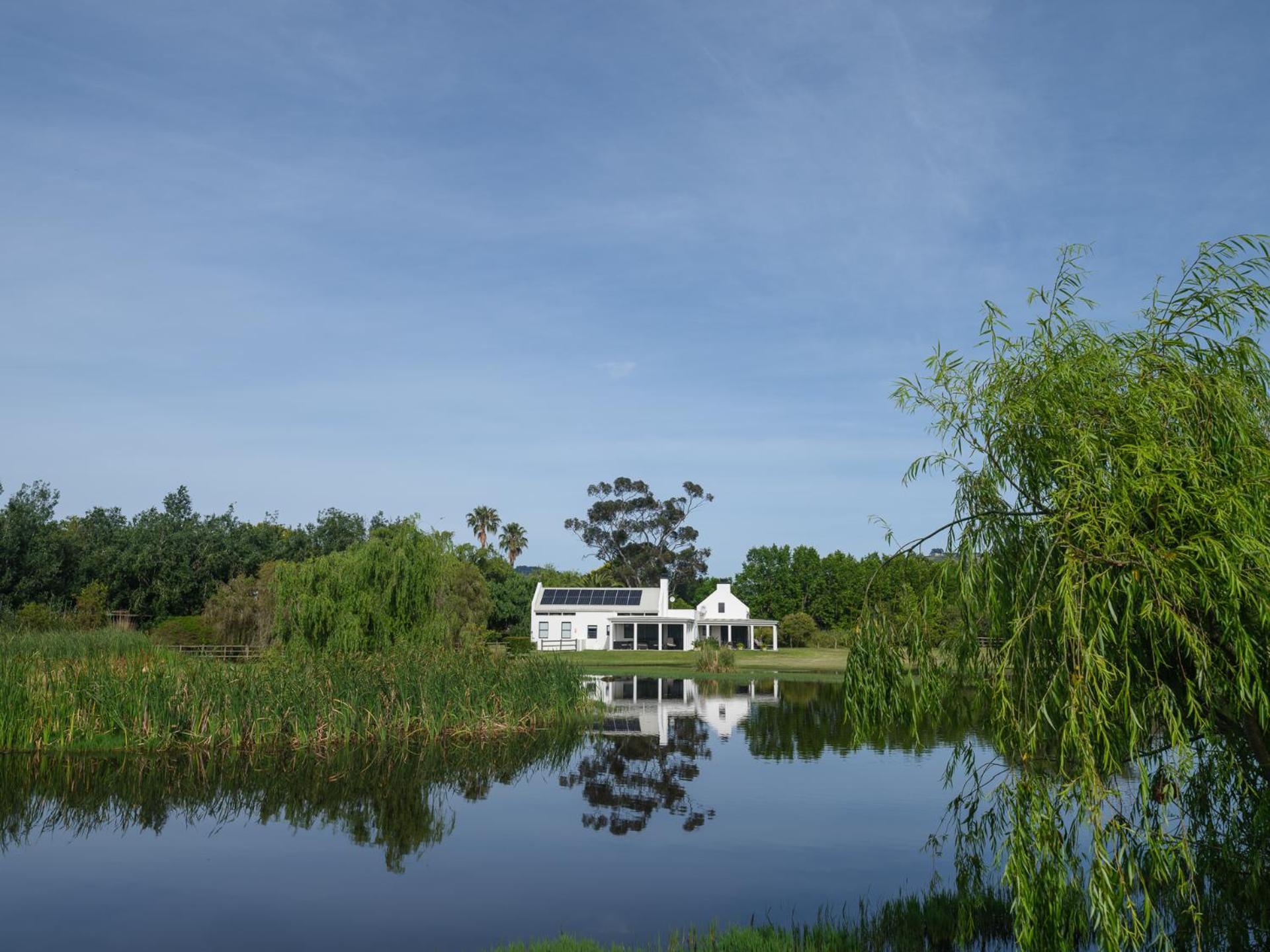 Sanddrif Stellenbosch Guest Farm Экстерьер фото