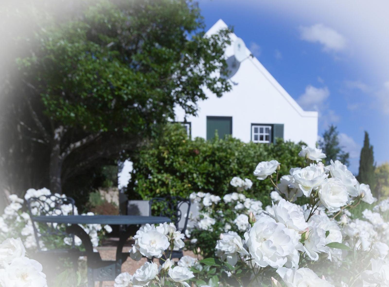 Sanddrif Stellenbosch Guest Farm Экстерьер фото