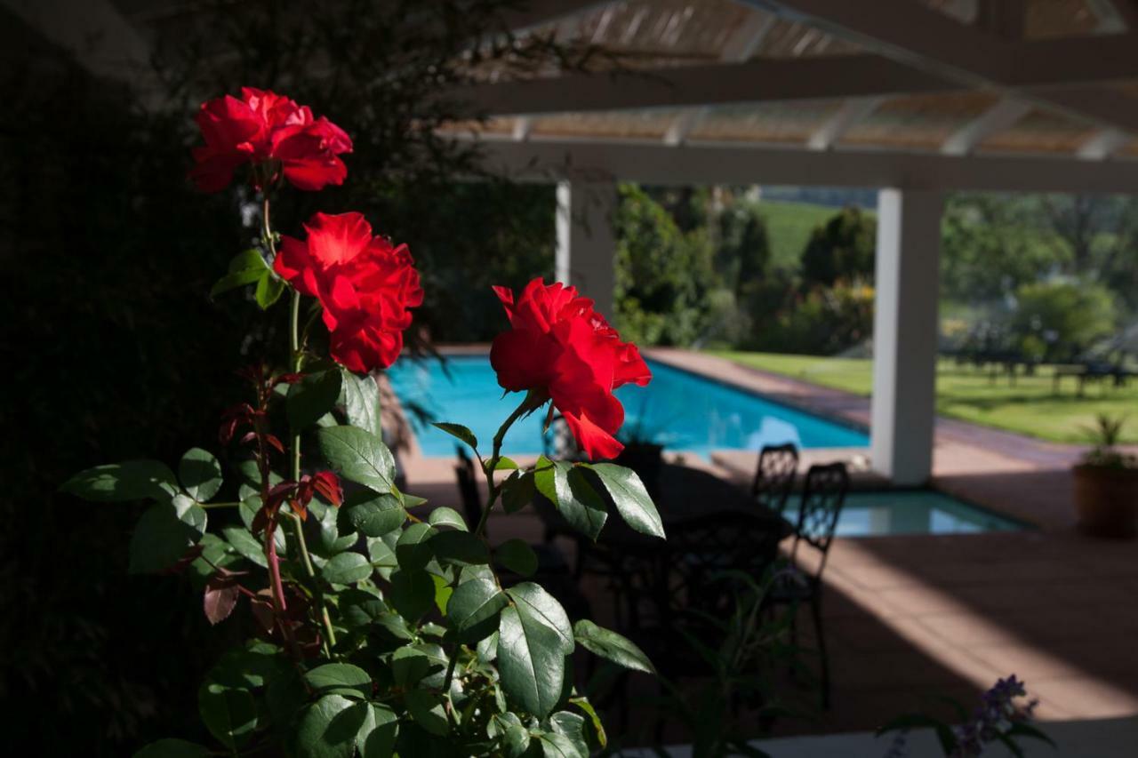 Sanddrif Stellenbosch Guest Farm Экстерьер фото