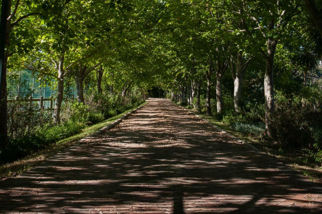 Sanddrif Stellenbosch Guest Farm Экстерьер фото